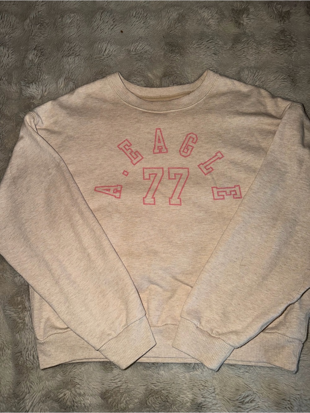 aerie Light Pink Logo Crewneck Sweatshirt